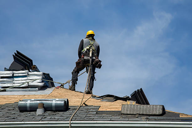 Professional Roof Repair technician working in Canterbury, CT